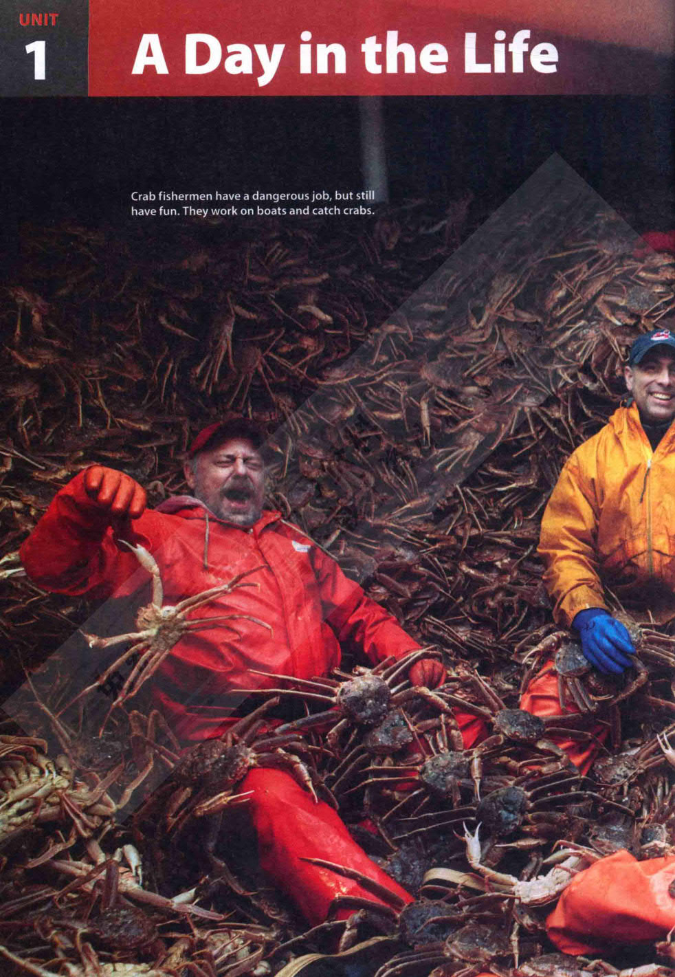 新世界交互英语第二版 读写译 学生用书 1