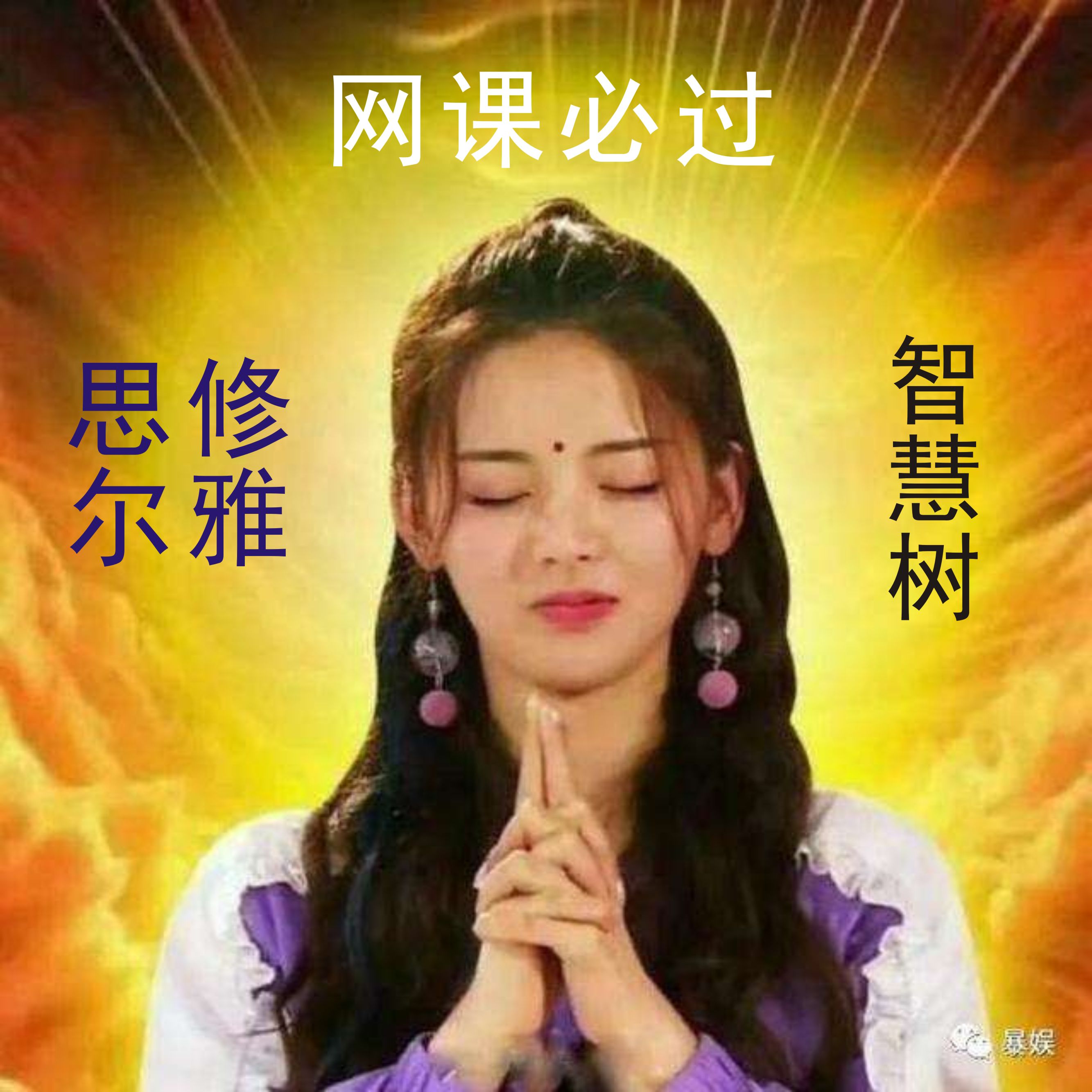 超星、尔雅、智慧树网课答案