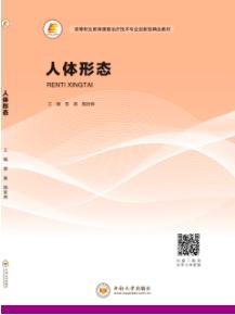 人体形态